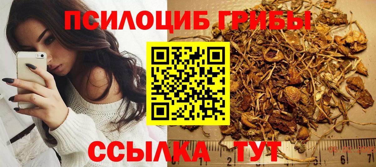 Воронеж  Галлюциногенные грибы ЛСД  Галлюциногенные грибы ЛСД  Вход с VPN 